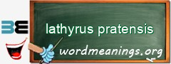 WordMeaning blackboard for lathyrus pratensis